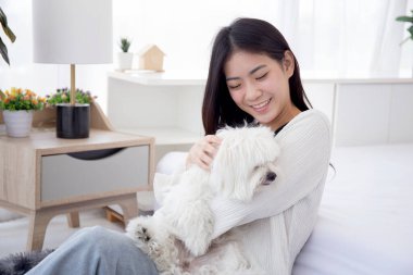 Genç Asyalı bir kadın evde tüylü köpek shih tzu ile birlikte oturuyor. Yatak odasında aşkı taşıyor. Arkadaşlarıyla oynaşıyor, oynaşıyor ve rahatlamak için hayvanla sarılıyor..