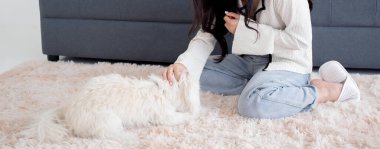 Genç Asyalı kadın pofuduk köpek shih tzu ile oynaşıyor. Evdeki aşkla rahatlamak için. Arkadaşlarla arkadaşlık, kadın ve hayvan dostluğu, dişi ve köpek yavrusu dostu..