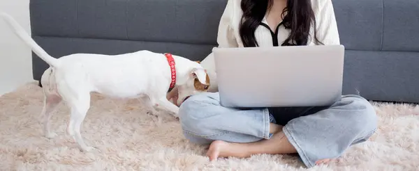 Young asian woman playful with fluffy dog for relax with love in the living room at home, friends pet with companion, friendship of woman and animal, female and friendly of puppy, lifestyles concept.