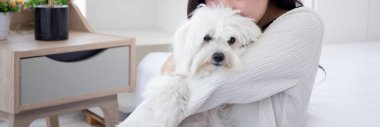 Güzel, genç Asyalı bir kadın yatak odasında tüylü köpek shih tzu ile oturuyor. Arkadaşları eşiyle oynaşıyor. Kadınlar hayvanlarla öpüşüyor ve sarılıyorlar..