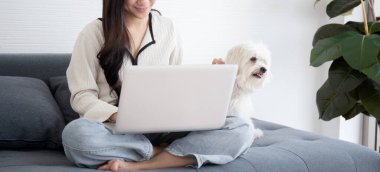 Güzel genç Asyalı bir kadın dizüstü bilgisayarla internetten internete evdeki yoldaş köpekle rahat bir şekilde oturuyor, evcil hayvan ve yaşam tarzı konseptiyle meşgul olan bir kadın..
