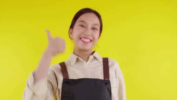 Retrato Jovem Asiático Barista Mulher Vestindo Avental Sorrir Com Animado — Vídeo de Stock