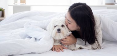 Güzel, genç Asyalı kadın pofuduk köpek shih tzu ile öpüşüyor. Yatak odasındaki yatakta rahatlamak için. Arkadaşlarla arkadaşlık, kadın ve hayvan dostluğu, dişi ve köpek yavrusu..