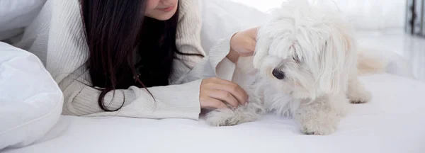 Beautiful young asian woman playful with fluffy dog shih tzu for relax with love on bed in bedroom at home, friends pet with companion, friendship of woman and animal, female and friendly of puppy.
