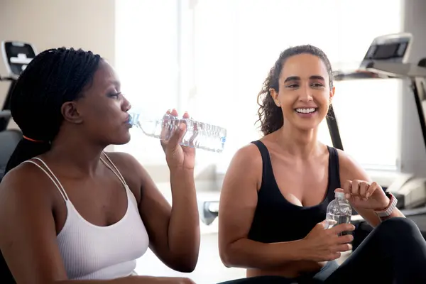 Two young woman talking in the gym, woman in sportswear and friend or coach relax and discussing while break in fitness, workout and exercise for health, diversity and ethnicity, sport concept.