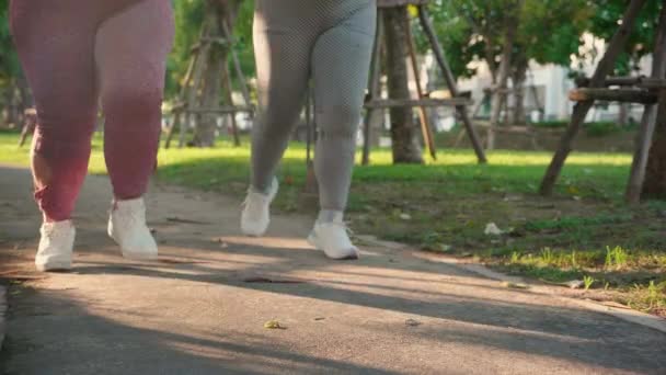 Dois Asiático Mulher Gordura Sportswear Jogging Juntos Caminho Parque Mulher — Vídeo de Stock