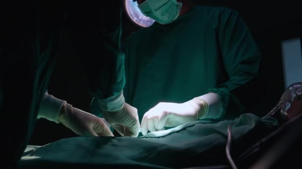 Groep Van Teamarts Chirurg Die Samen Met Patiënt Opereert Het — Stockvideo