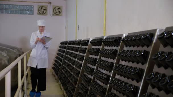 Enólogo Mujer Joven Comprobar Examinar Producción Vino Bodega Fábrica Inspector — Vídeos de Stock