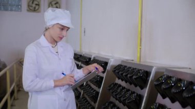 Şarap üreticisi genç bir kadın fabrikada şarap üretimini kontrol ediyor ve inceliyor, müfettiş şişe kalitesini ve şarabını kontrol ediyor ve fabrika, endüstriyel ve imalat konseptindeki stokları kontrol ediyor..