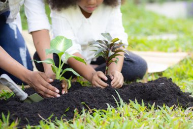 Anne ve iki kız bahçede tohum ekiyorlar, aile aktiviteleri, çevre ve çevre, aile tohumları ekme yaz günü boş zaman, sürdürülebilir rahatlama hakkında faaliyet. 