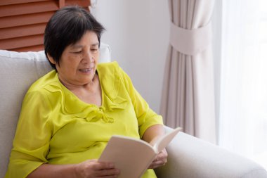 Asyalı son sınıf öğrencisi bir kadın kanepede oturmuş kitap okuyor. Oturma odasında dinleniyor. Yaşlı bir kadın hafta sonu rahat, hobi ve eğlence dolu bir kanepede edebiyat okuyor..