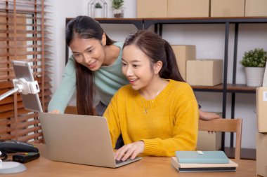 Bilgisayarda çalışan iki genç Asyalı kadın online iş yaparken ve planlarken ve evde siparişleri kontrol ederken, girişimci ve küçük işletme, çevrimiçi satıcı ile perakende satış, girişim işi.