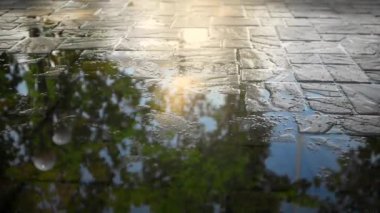 Harika bir yaz gününde, insanlar bir yol üzerindeki su birikintisinde güneş ışığının içinden yaya olarak yansıyor. Şehir hayatının güzel bir yaz ya da bahar manzarası.