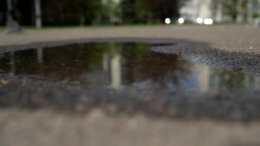 Spor ayakkabılı bir adam güneşli bir günde su birikintisine girer. Bir yaya asfalt bir patikada su birikintisine girer.