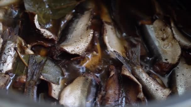 Kochen Von Meeresfrüchten Kleine Fische Schmoren Einem Topf Kochen Hausgemachter — Stockvideo