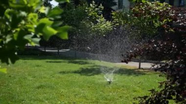 Çim sulama. Yeşil çimenleri sulayan fıskiyeler. Bahçe işleri konsepti. Akıllı bahçe, yeşil bir parkta çalışan tam otomatik sulama sistemiyle aktif hale getirildi. Bahçe Çimi Sulama.
