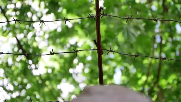 Concrete Fence Barbed Wire Sunny Day Guarded Building Prison Military — Video Stock