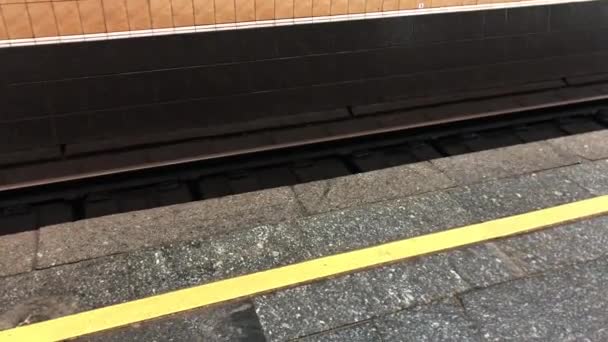 Subway Train Arrives Empty Platform Railway Metro Station — Αρχείο Βίντεο