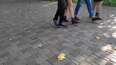 Long shadows young people walking in the autumn park during a beautiful sunset. Close-up of the legs of a company of friends walking around the city on a sunny evening.