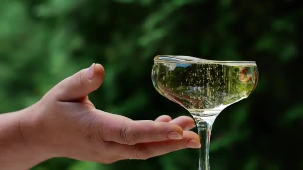 Close Elderly Woman Hand Taking Glass White Sparkling Wine Communication — Wideo stockowe