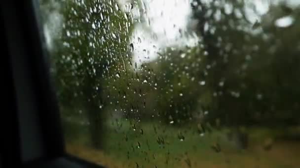 Raindrops Car Side Glass Heavy Rain Storm View Car Asphalt — Wideo stockowe