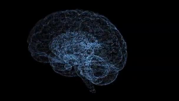 Brain Binding Cells Blue Digital Brain Concept Two Hemispheres Brain — Stockvideo
