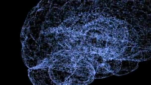 Κοντινό Πλάνο Επιλεκτική Εστίαση Αφηρημένη Animation Εγκεφαλικά Κύτταρα Σύνδεσης Μπλε — Αρχείο Βίντεο