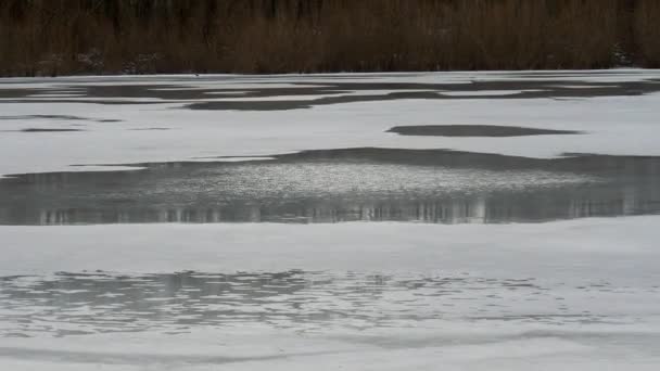 Відображення Неба Річковій Воді Танення Льоду Навесні Лід Тане Річці — стокове відео