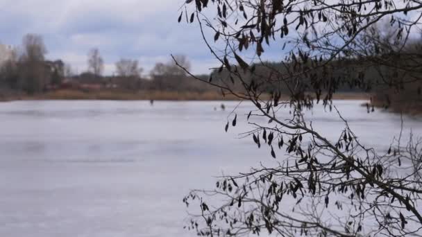 Donmuş Bir Nehir Veya Gölün Arka Planında Kurumuş Bir Dal — Stok video