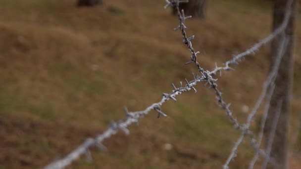 铁丝网将禁区 自然保护区 军事单位的领土分隔开来 禁止入内 — 图库视频影像