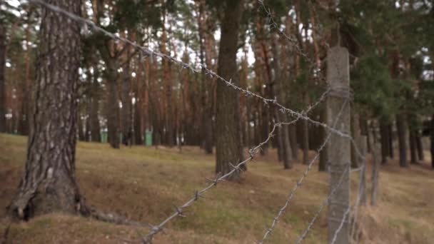 Φράχτης Συρματοπλέγματος Που Χωρίζει Έδαφος Της Απαγορευμένης Περιοχής Φυσικό Καταφύγιο — Αρχείο Βίντεο
