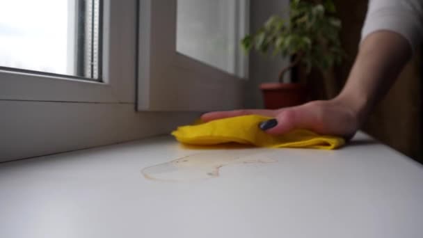 Super Slow Motion Girl Washes Window Sill Close Woman Hand — Vídeo de Stock