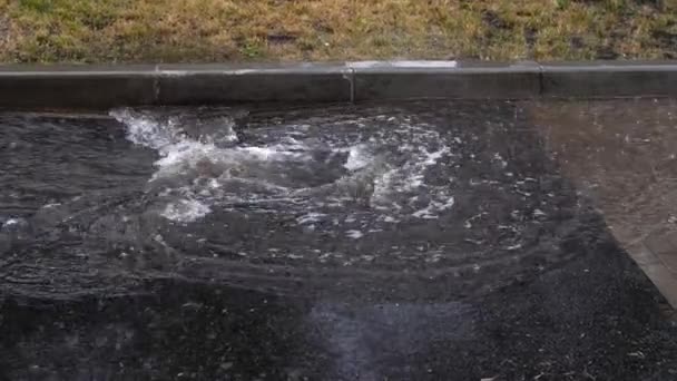 Zbliżenie Dużej Kałuży Podczas Ulewnego Deszczu Mieście Kanalizacja Burzowa Drodze — Wideo stockowe