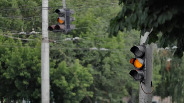 木々の背景に2つの信号機 点滅する緑色の信号が黄色に切り替わり 次に赤の停止信号に切り替わります 都市道路上の規制交差点 — ストック動画