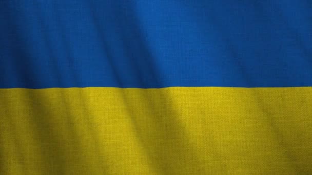Oekraïense Vlag Met Een Stof Textuur Fladdert Wind Video Van — Stockvideo