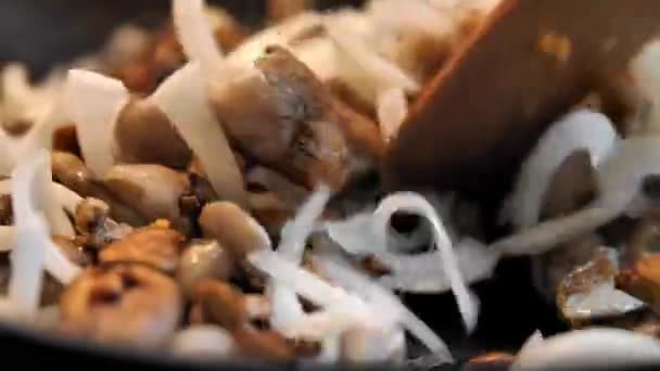 厨师把洋葱放在锅里煎蘑菇 用木铲搅拌 家庭厨房 油炸蘑菇 传统食物 家庭主妇准备了一份佳肴 吃油炸蘑菇 — 图库视频影像