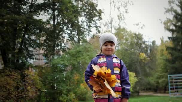 一个学龄前的白人小女孩站在公园里 手里拿着一束黄色落叶枫树 秋天的一天 白人女婴摆出姿势 看着摄像机 — 图库视频影像