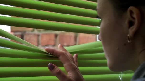 Lány Felhúzta Redőnyt Kinézett Ablakon Kinyitja Redőnyt Ujjaival Figyelmesen Néz — Stock videók
