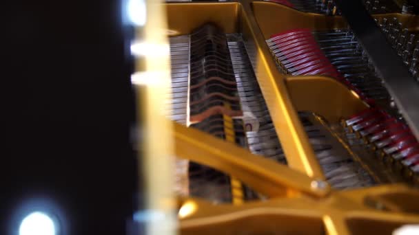 Close Dampers Hammers Vintage Grand Piano Hitting Strings While Pianist — Stock Video
