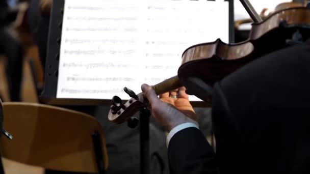 Violinista Sesso Maschile Suona Violino Davanti Orchestra Concerto Sinfonico Alla — Video Stock