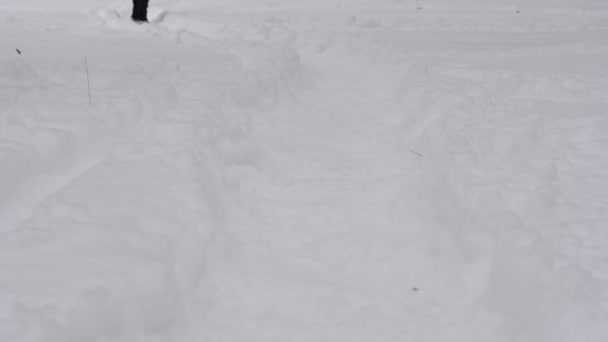 那姑娘的腿沿着雪地的小径走着 一个女人在雪地里散步 第一场雪下起了 — 图库视频影像