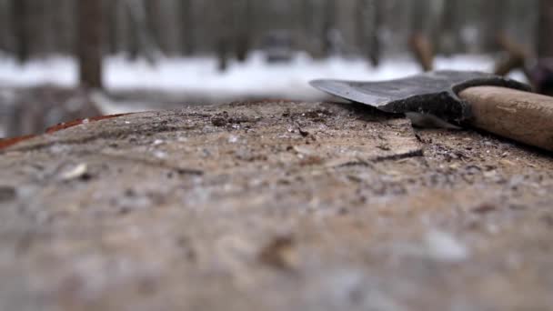 在雪地的森林里 一把斧子的特写躺在一块木头上 准备柴火取暖 森林砍伐概念 生态灾难 固体燃料木柴加热 — 图库视频影像
