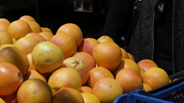 一位成年妇女在柜台上的一个大型水果摊位上的超市里挑选成熟的水果柚子 一个女人拿起柑橘类水果 — 图库视频影像