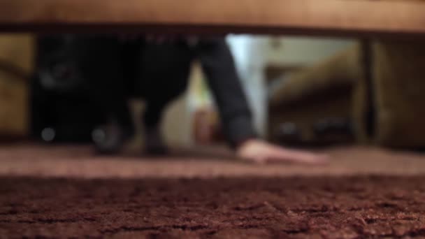 Homem Procura Algo Debaixo Cama Mão Apalpa Para Objeto — Vídeo de Stock
