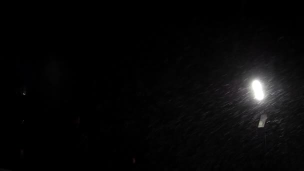 大雪落在路灯的后面 在暴风雪期间的一个冬夜 巨大的蓬松的雪花落在街道Led灯的背景下 — 图库视频影像