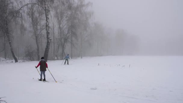 Children Skiing Snow Heavy Fog Fresh Winter Morning Outdoor Activities — Stock Video