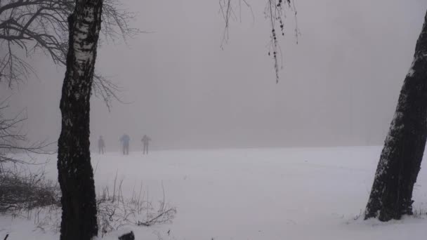 Bambini Adulti Sciano Sulla Neve Una Fitta Nebbia Una Fresca — Video Stock