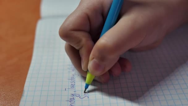 Uczennica Pisze Słowo Niedziela Notatniku Podczas Lekcji Dziecko Odrabia Lekcje — Wideo stockowe