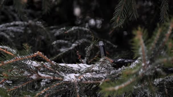 Πασπαλισμένο Χιόνι Ένα Κλαδί Ζωντανού Χριστουγεννιάτικου Δέντρου Διακοσμημένο Γιρλάντες Χριστουγεννιάτικο — Αρχείο Βίντεο