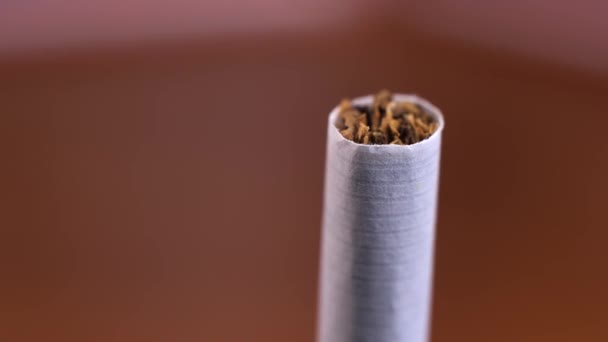 Nahaufnahme Von Tabak Einer Zigarette Makrovideoaufnahme Einer Rotierenden Zigarette — Stockvideo